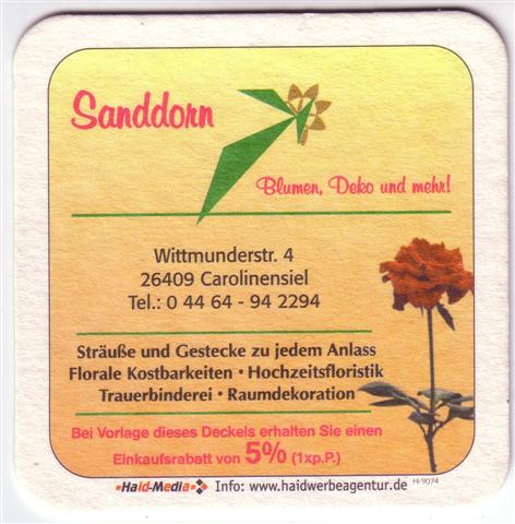 wittmund wtm-ni cafe caro 1b (quad185-sanddorn)